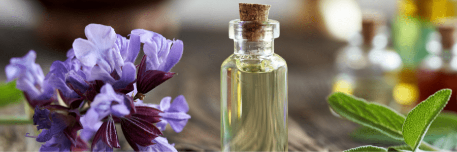 Niche Fragrances: Why Try Something Different From The Usual Options
