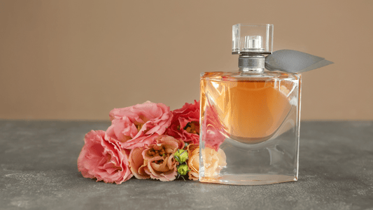 luxury perfumes by ScentRabbit