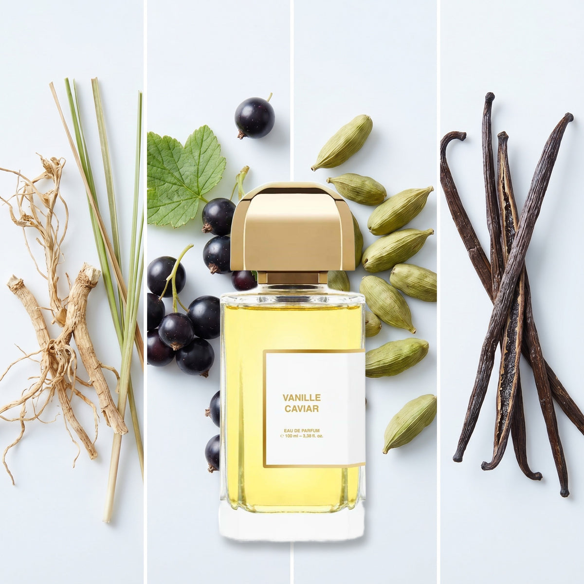BDK Parfums Vanille Caviar fragrance notes: Calamus, Cassis, Cardamom, Vanilla