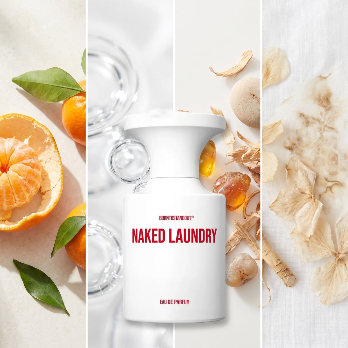 Borntostandout Naked Laundry fragrance notes: Mandarin Essential Oil, Aldehyde, Ambrinol, Skatole