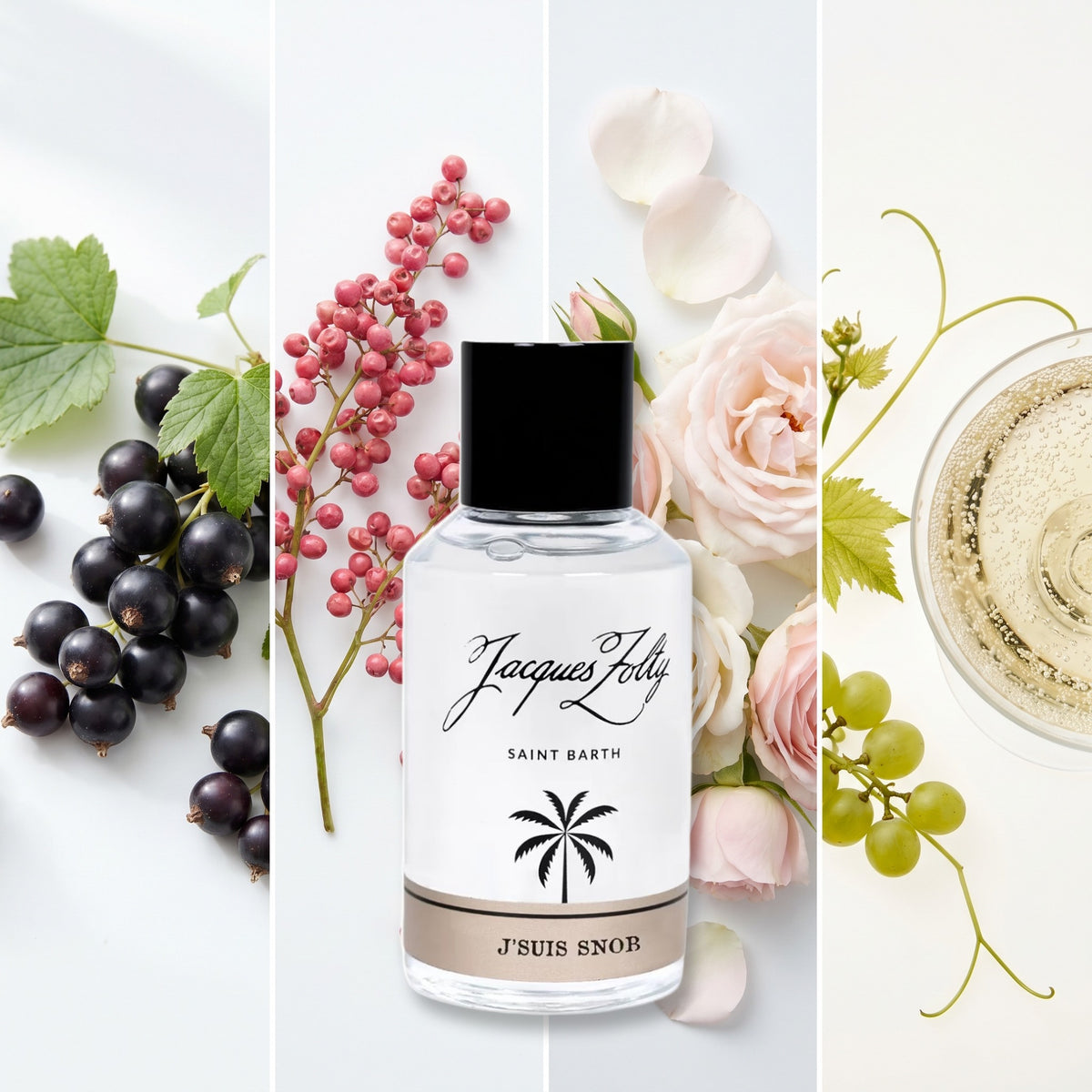 Jacques Zolty J'Suis Snob fragrance notes: BLACKCURRANT, PINK PEPPER, ROSE, ACCORD OF CHAMPAGNE