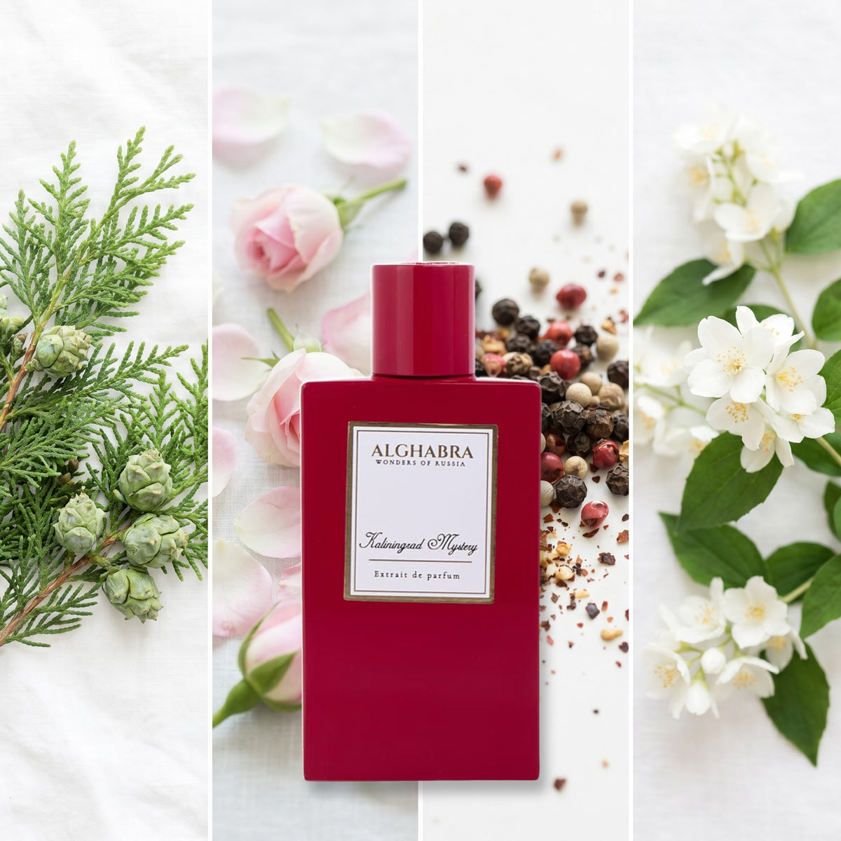 Alghabra Parfums Kaliningrad Mystery fragrance notes: Cypress, Bulgarian Rose, Pepper., Jasmine
