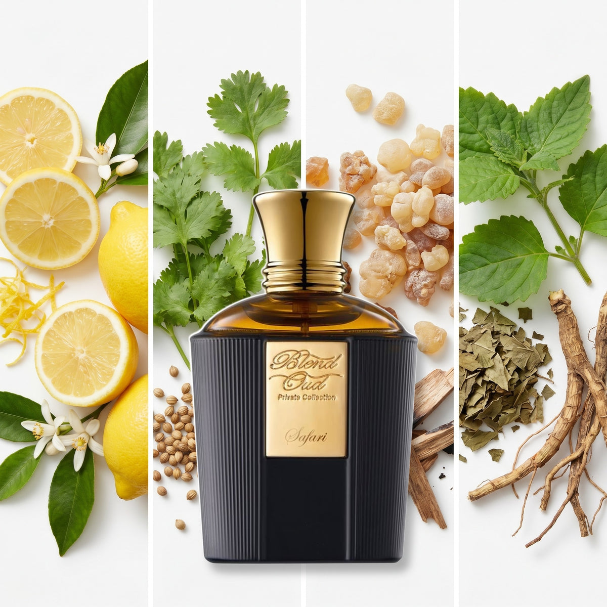 Blend Oud Safari fragrance notes: Lemon, Coriander, Incense, Patchouli