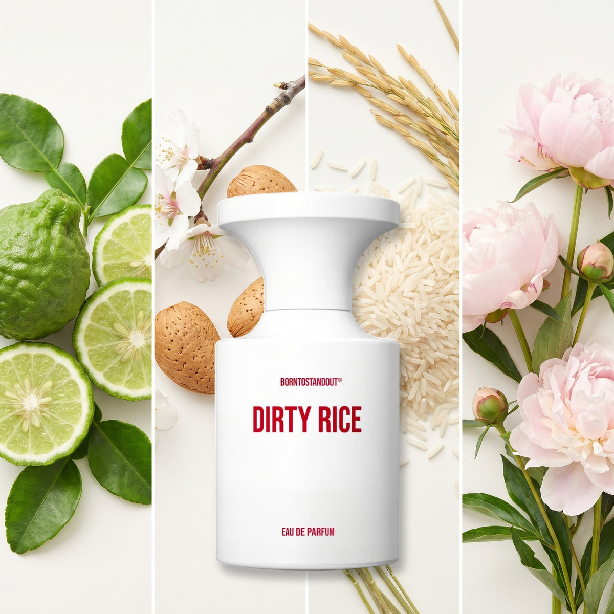 BornToStandOut Dirty Rice fragrance notes: Bergamot, Almond, Basmati Rice, Peony