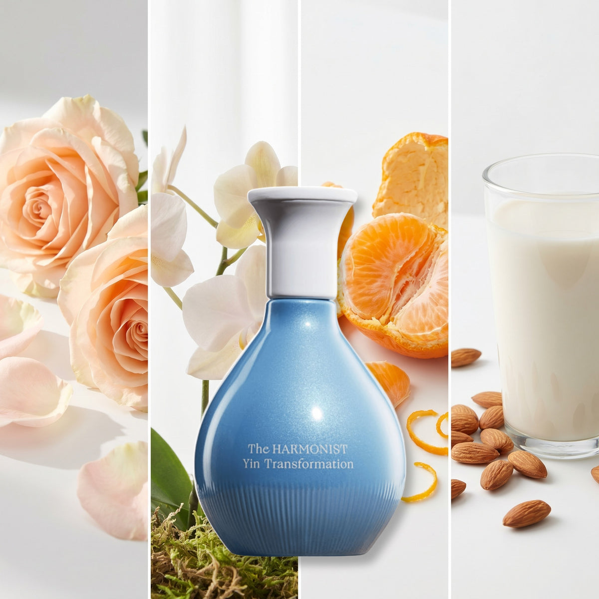The Harmonist Yin Transformation fragrance notes: Bulgarian Rose, Calypso Orchid, Mandarin Orange, Almond Milk