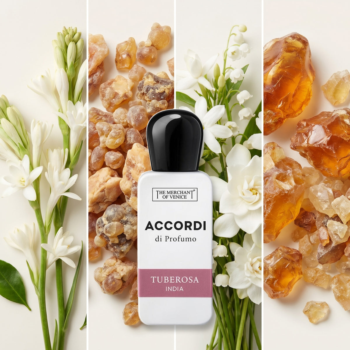The Merchant of Venice Tuberosa India fragrance notes: Tuberose, Benzoin, White floral, amber