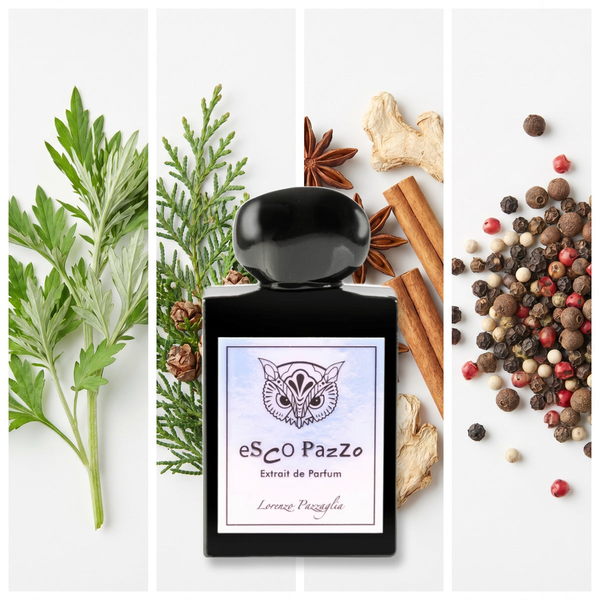 Lorenzo Pazzaglia Esco Pazzo fragrance notes: Artemisia, Cypress, Spices, Pepper