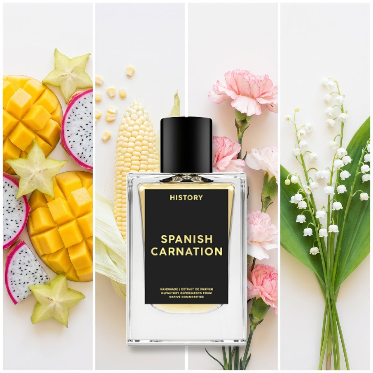 History Spanish Carnation fragrance notes: Exotic Fruits, Corn, Carnation, Lily-of-the-valley