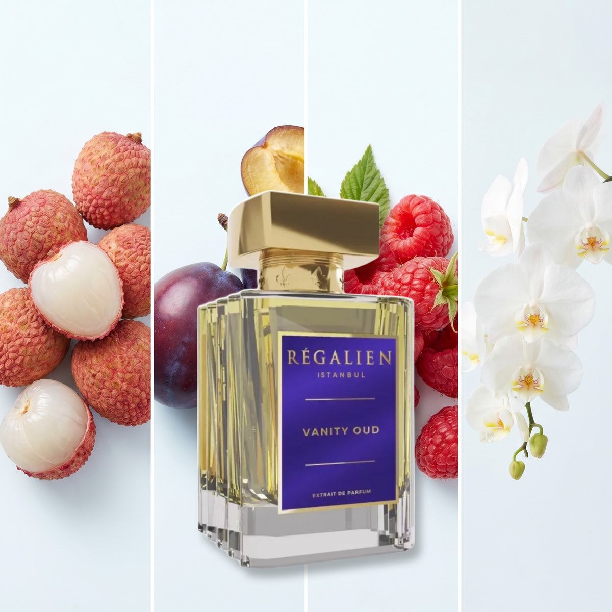 Regalien Vanity Oud fragrance notes: Litchi, Plum, Raspberry, Orchid