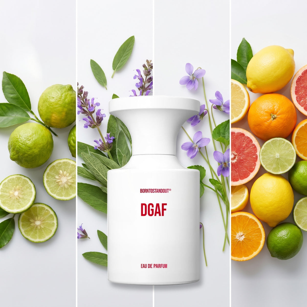 BornToStandOut DGAF fragrance notes: Calabrian Bergamot, Sage, Violet, Citruses