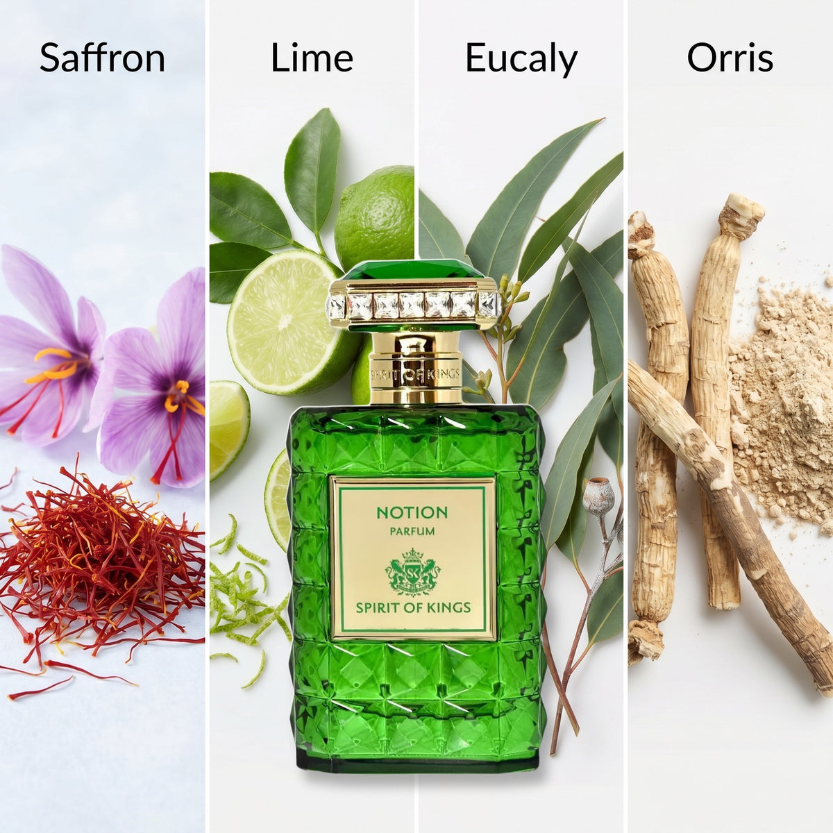 Spirit Of Kings Notion fragrance notes: Saffron, Lime, Eucaly, Orris