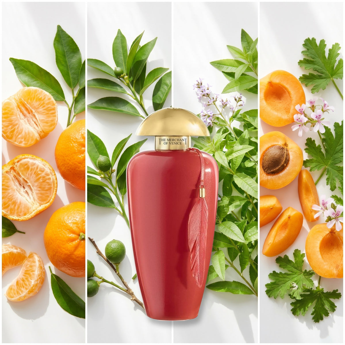The Merchant of Venice Flamant Rose fragrance notes: Mandarin, Petitgrain, Verbena., Apricot Geranium