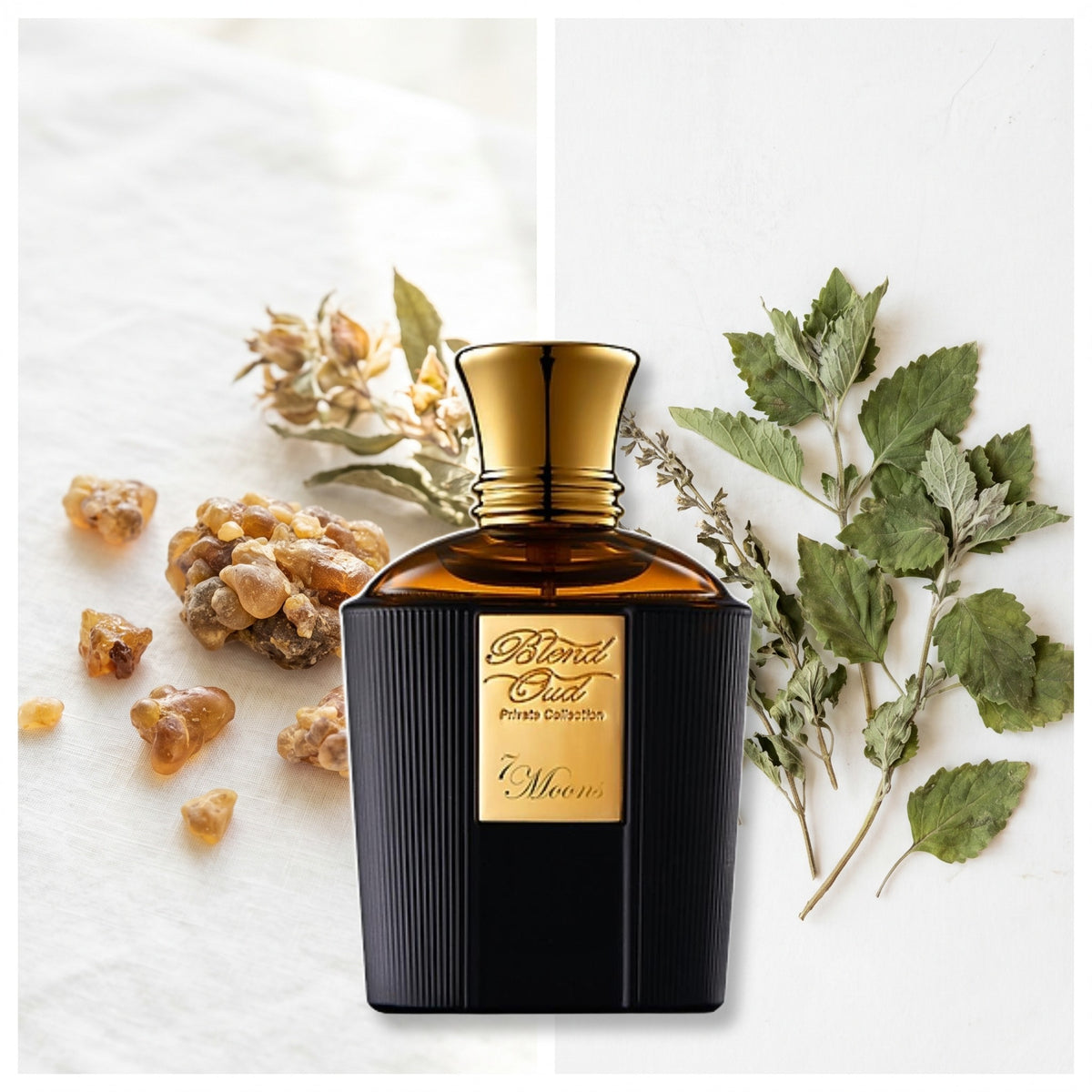 Blend Oud 7 Moons fragrance notes: Labdanum, Patchouli