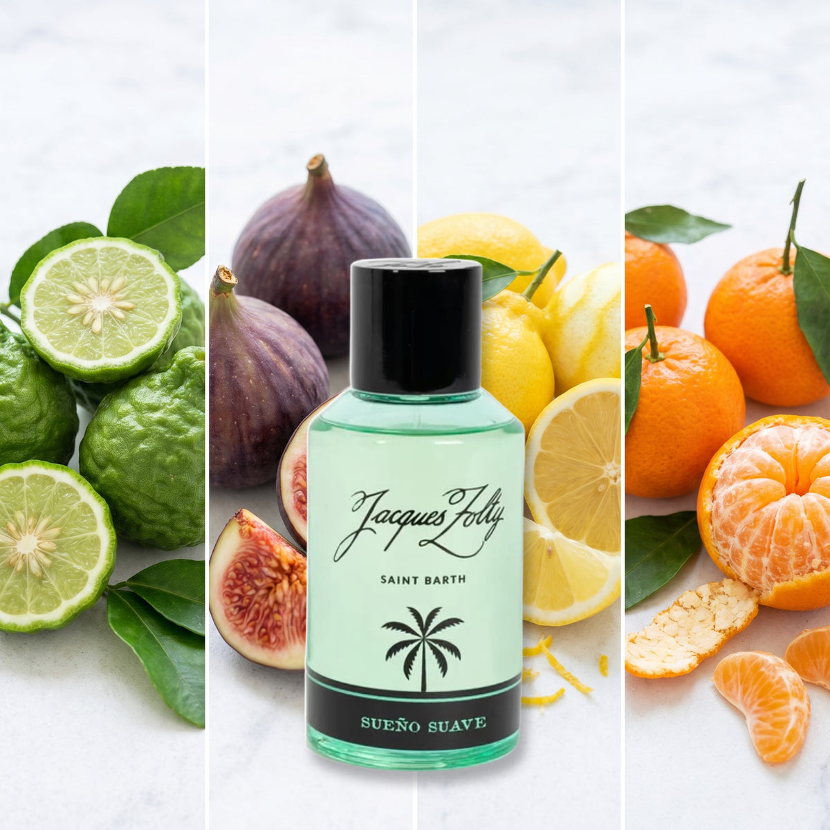 Jacques Zolty Sueno Suave fragrance notes: Bergamot, Fig, Lemon, Mandarin Orange