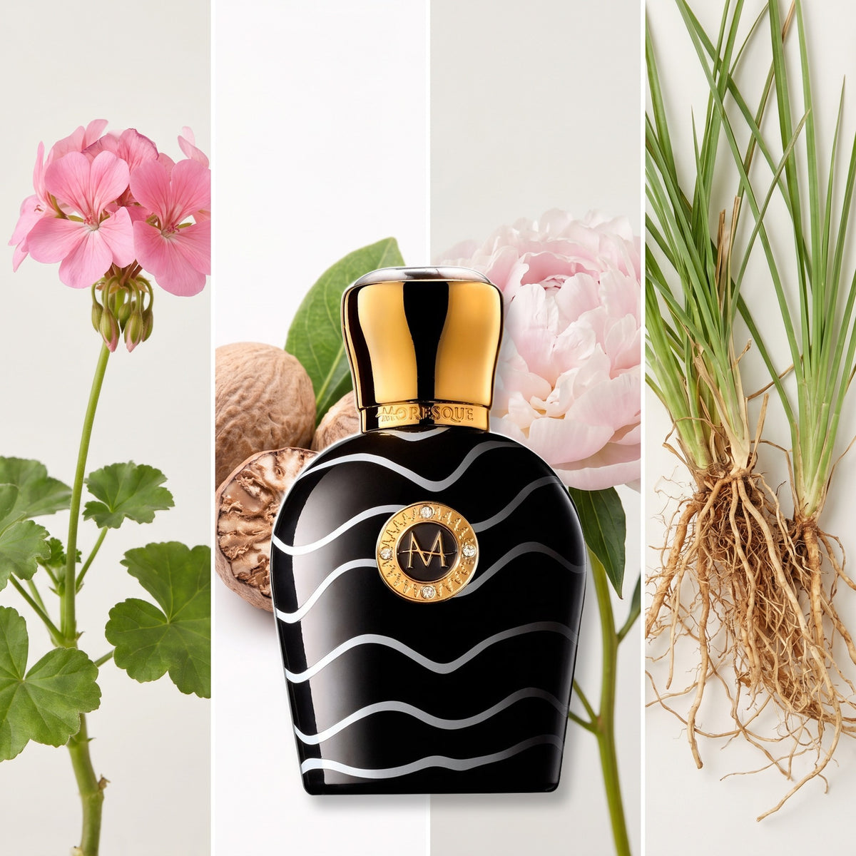 Moresque Parfums Aristoqrati fragrance notes: geranium from Egypt, nutmeg, peony, vetiver Madagascar