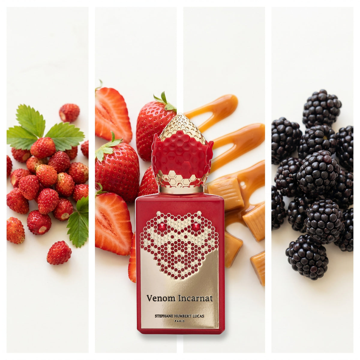Stephane Humbert Lucas Venom Incarnat fragrance notes: Wild Strawberry, Strawberry, Caramel, Blackberry
