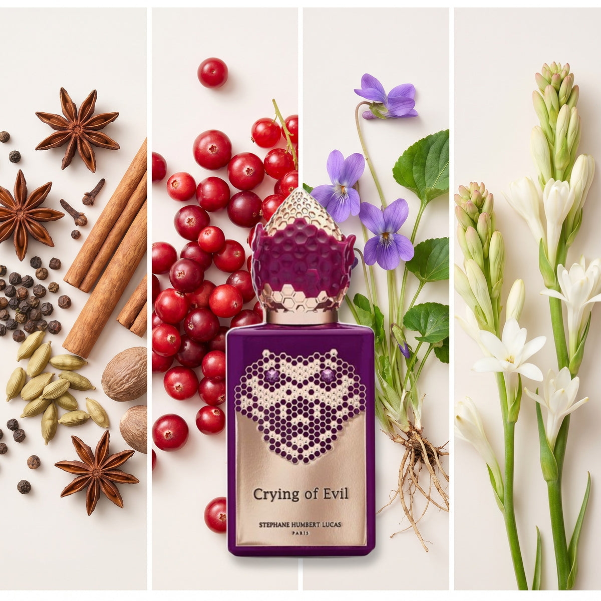 Stephane Humbert Lucas Crying of Evil fragrance notes: Spices, Red Berries, Violet, Tuberose