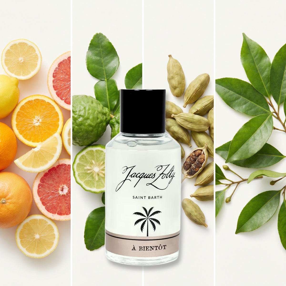 Jacques Zolty A Bientôt fragrance notes: CITRUS, BERGAMOT, CADRAMOM, NUTMEG LEAVES