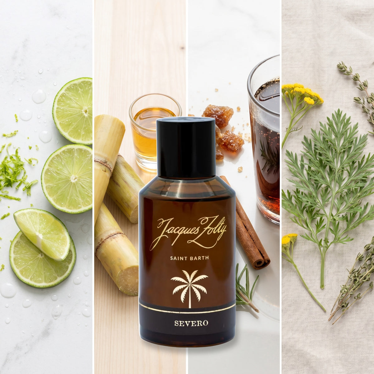 Jacques Zolty Severo fragrance notes: LIME, RUM, COLA, DAVANA