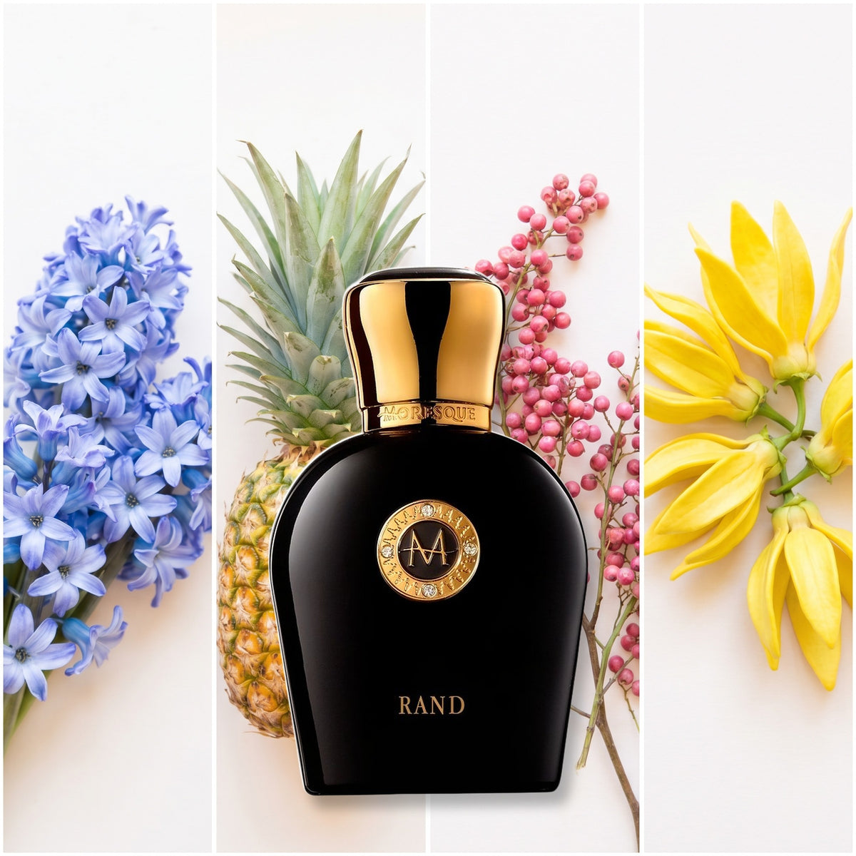 Moresque Parfums Rand fragrance notes: hyacinth, pineapple, pink pepper, ylang ylang