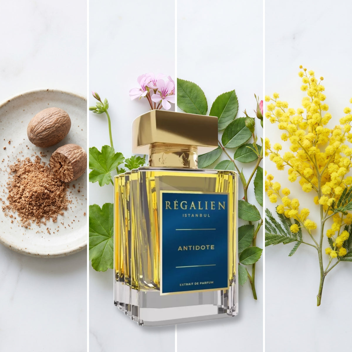 Regalien Antidote fragrance notes: Nutmeg, Geranium, Rose Leaf, Mimosa