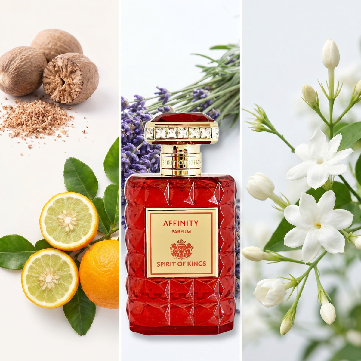 Spirit Of Kings Affinity fragrance notes: Nutmeg Bergamot, Lavender, Jasmine