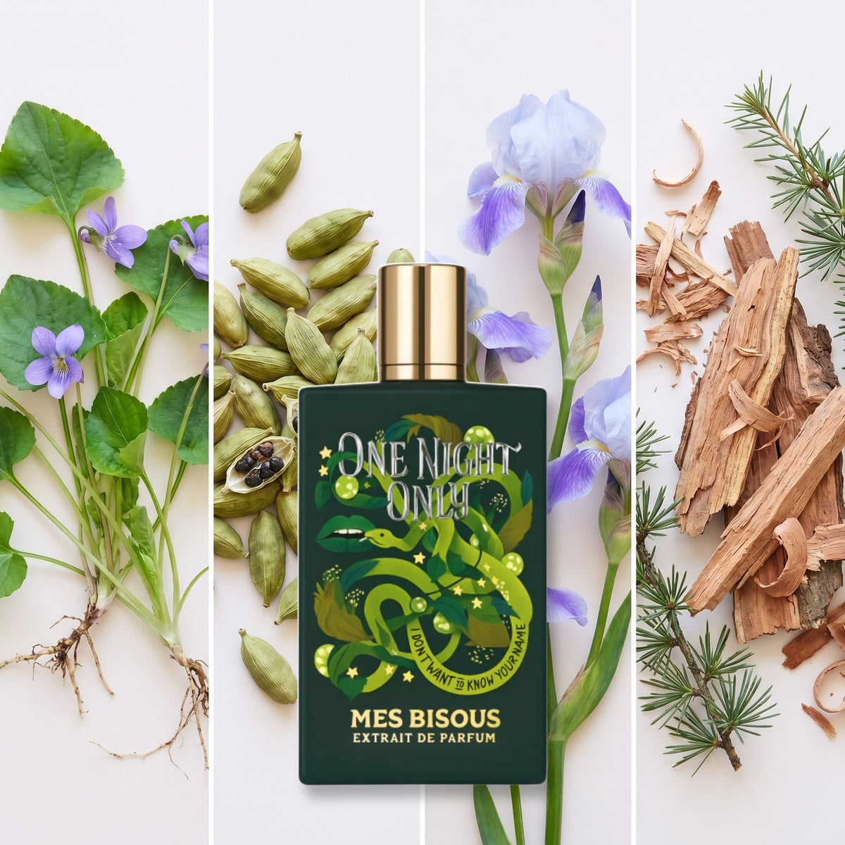 Mes Bisous One Night Only fragrance notes: Violet Leaf, Cardamom, Iris, Cedar