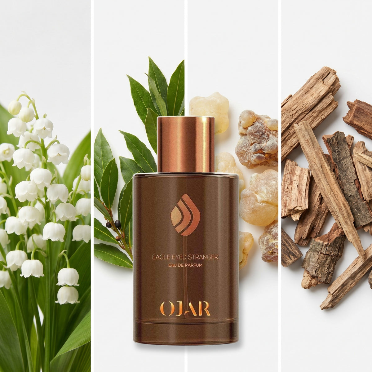 Ojar Eagle Eyed Stranger fragrance notes: Lily Of The Valley, Laurel, Frankincense, Dry Woods