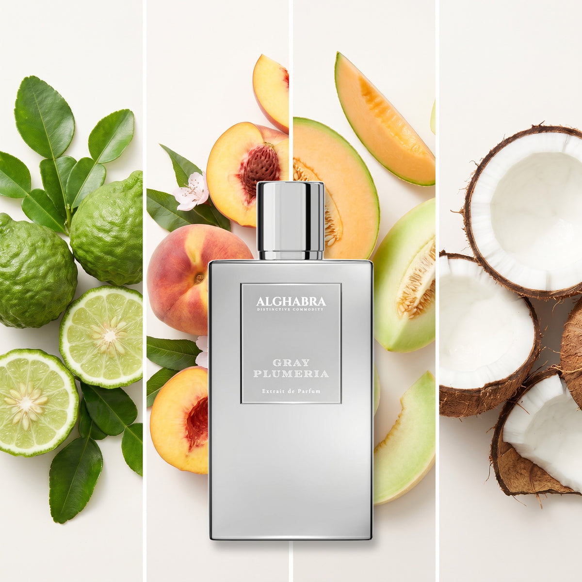 Alghabra Gray Plumeria fragrance notes: Bergamot, Peach, Melon, Coconut