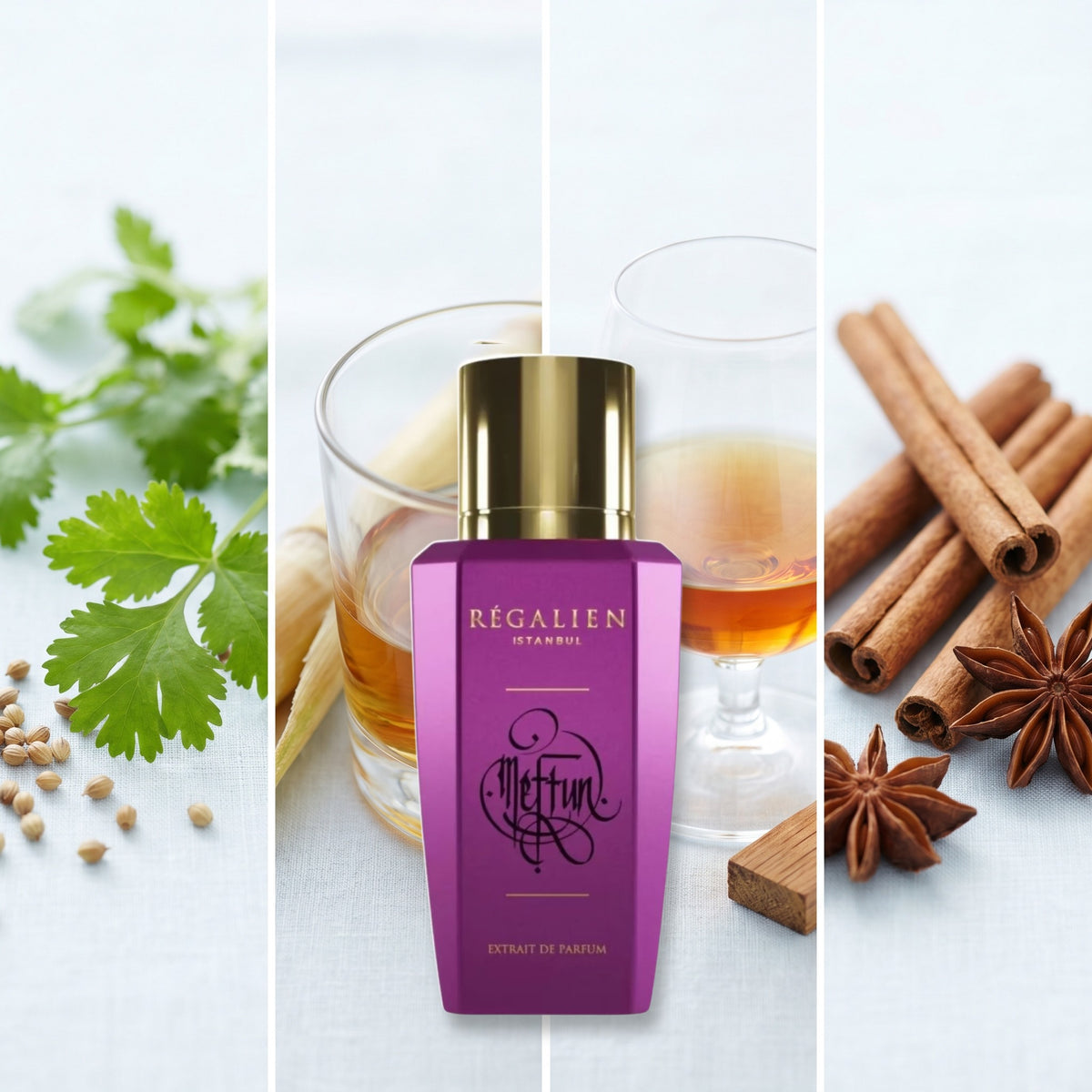 Regalien Meftun fragrance notes: Coriander, Rum, Cognac, Cinnamon