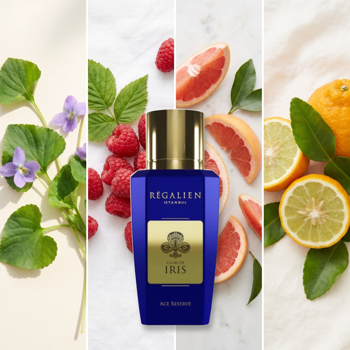 Regalien Clubs Of Iris fragrance notes: Violet Leaf, Raspberry, Grapefruit, Bergamot