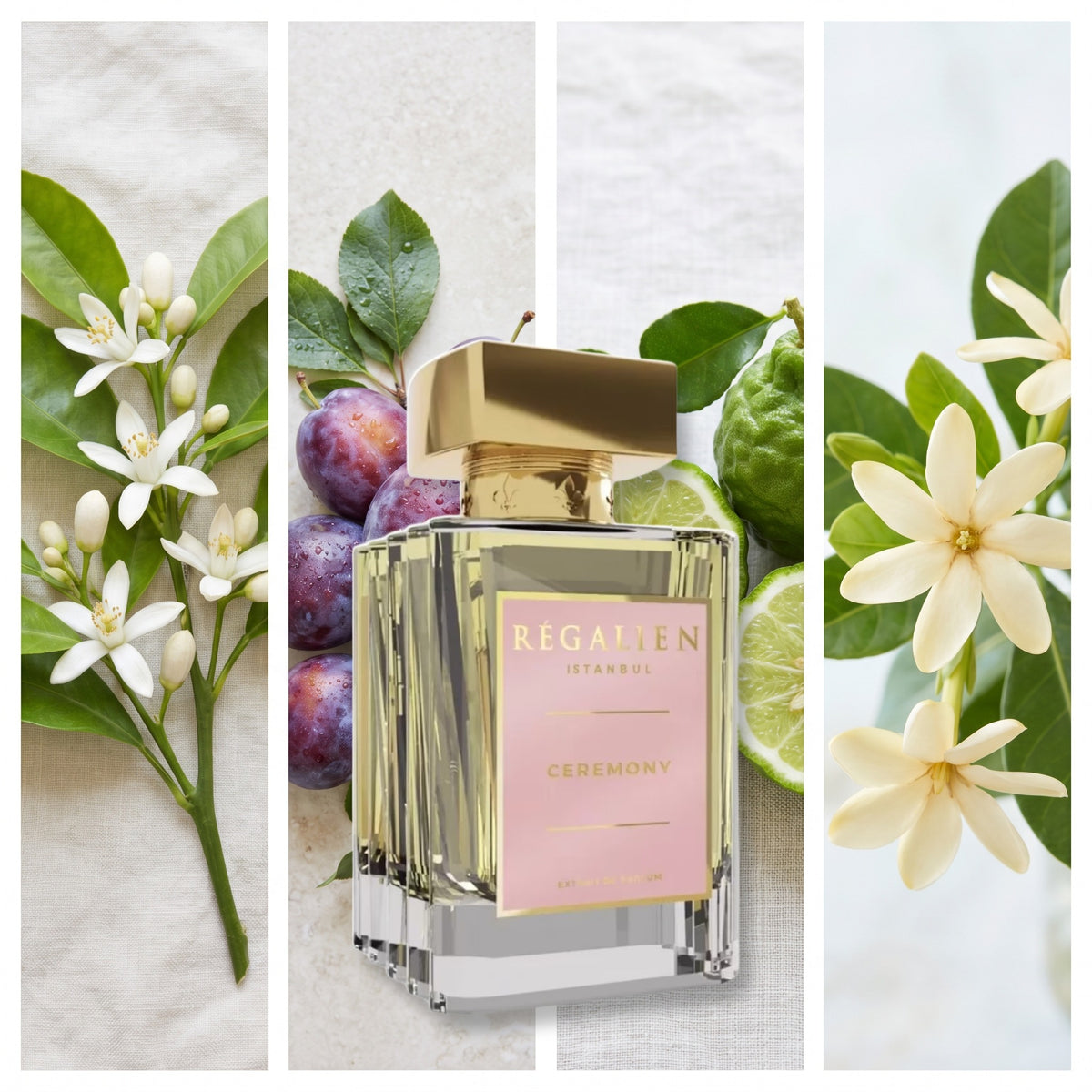 Regalien Ceremony fragrance notes: Orange Blossom, Plum, Bergamot, Tiare Flower