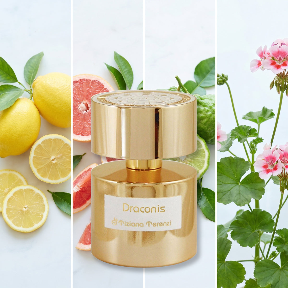 Tiziana Terenzi Draconis fragrance notes: Lemon, Grapefruit, Bergamot, Geranium