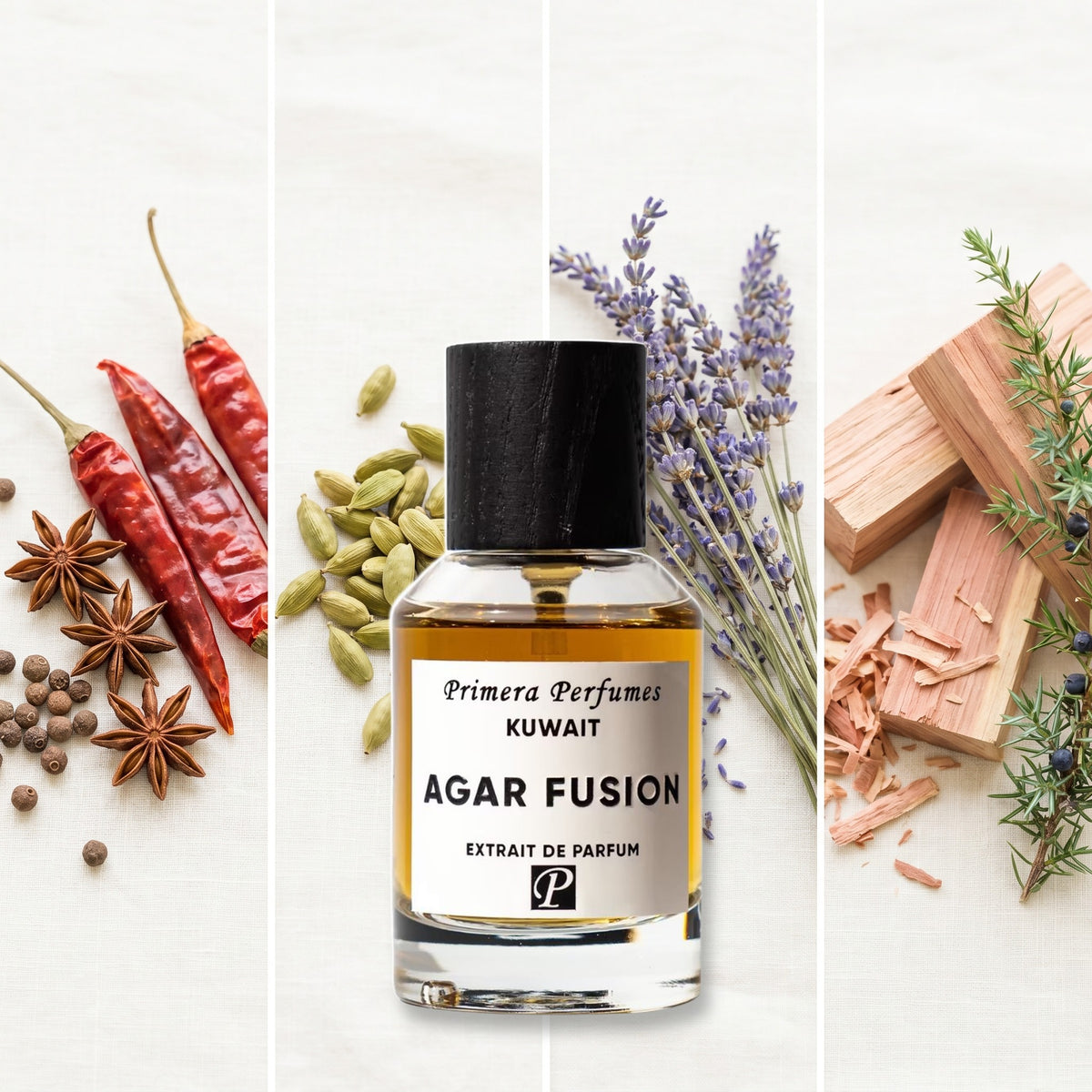 Primera Perfumes Kuwait Agar Fusion fragrance notes: Spicy Accord, Cardamom, Lavender, Cedarwood
