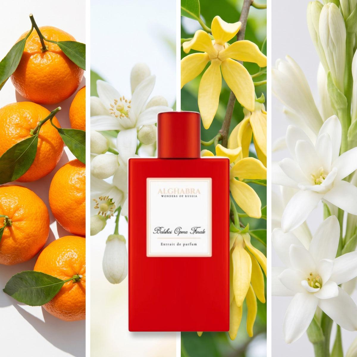 Alghabra Parfums Bolshoi Opera Finale fragrance notes: Mandarine Oranage, Oranage Blossom., Ylang Ylnag, Tuberose