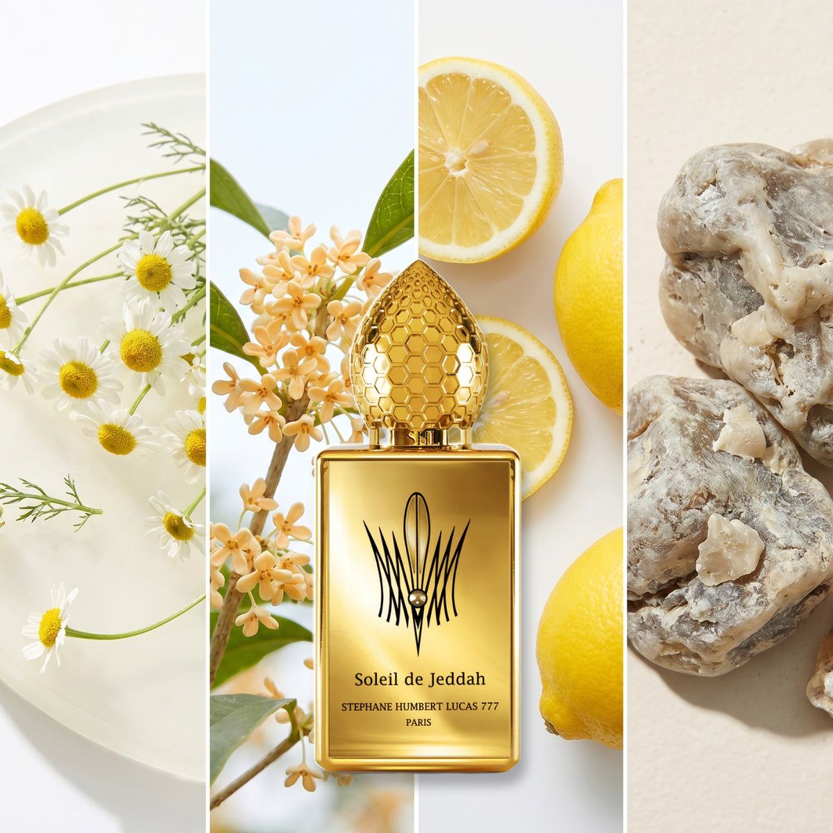 Stephane Humbert Lucas Soleil De Jeddah fragrance notes: Chamomile, Osmanthus, Lemon, Ambergris