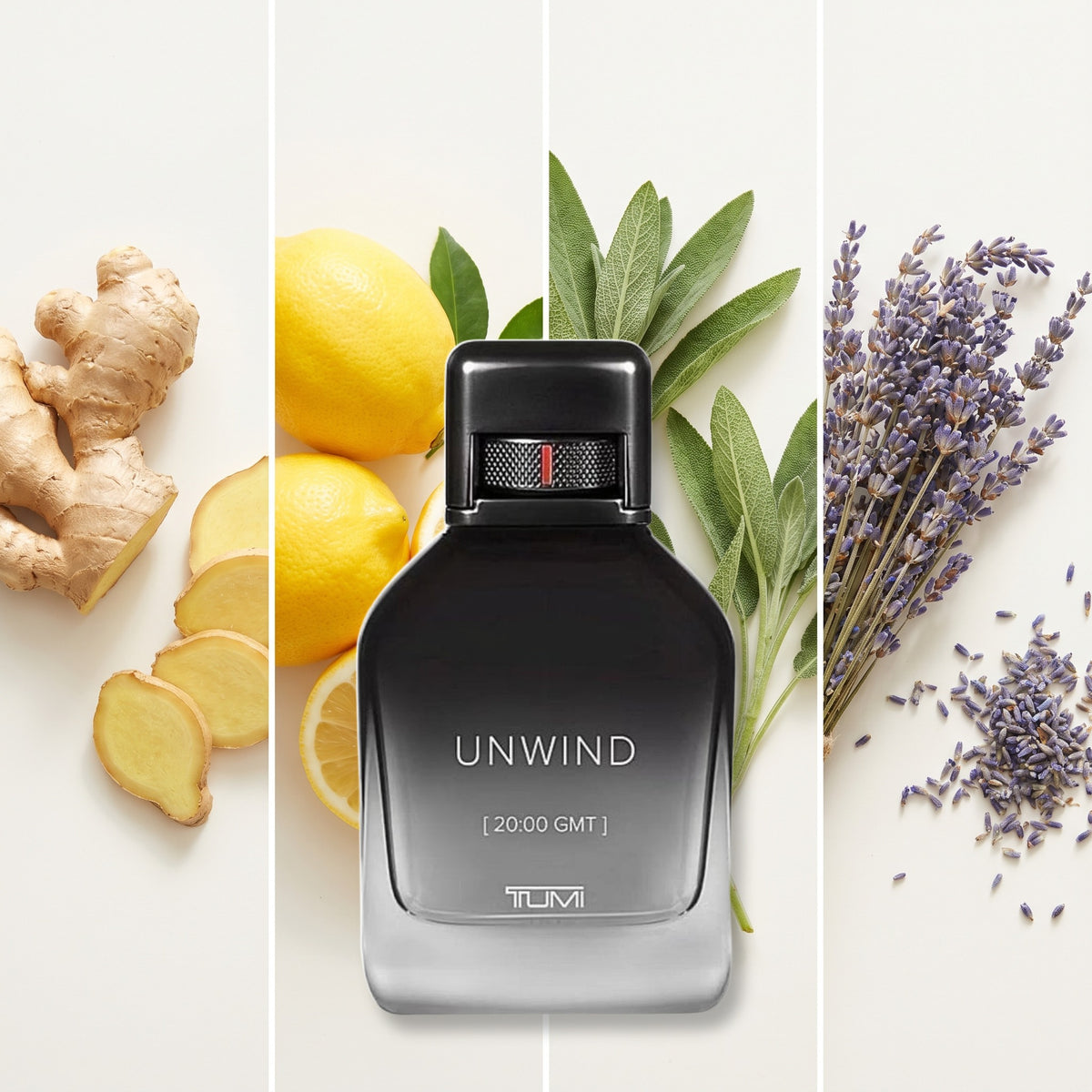 Tumi Unwind fragrance notes: Ginger, Lemon., Sage, Lavender