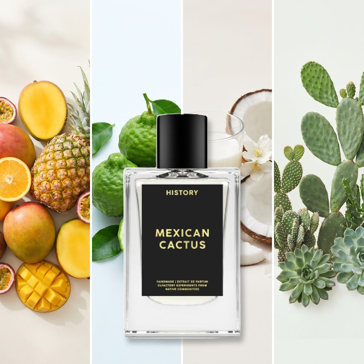 History Mexican Cactus fragrance notes: Tropical Fruits, Bergamot, Lactonic, Cactus