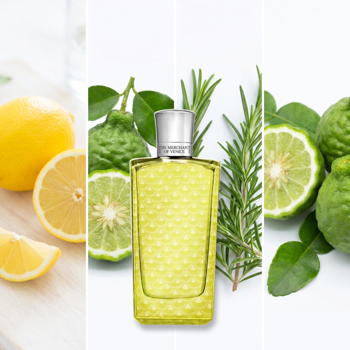 The Merchant of Venice Colonia Veneziana fragrance notes: Lemon, Bergamot, Rosemary, Bergamot.