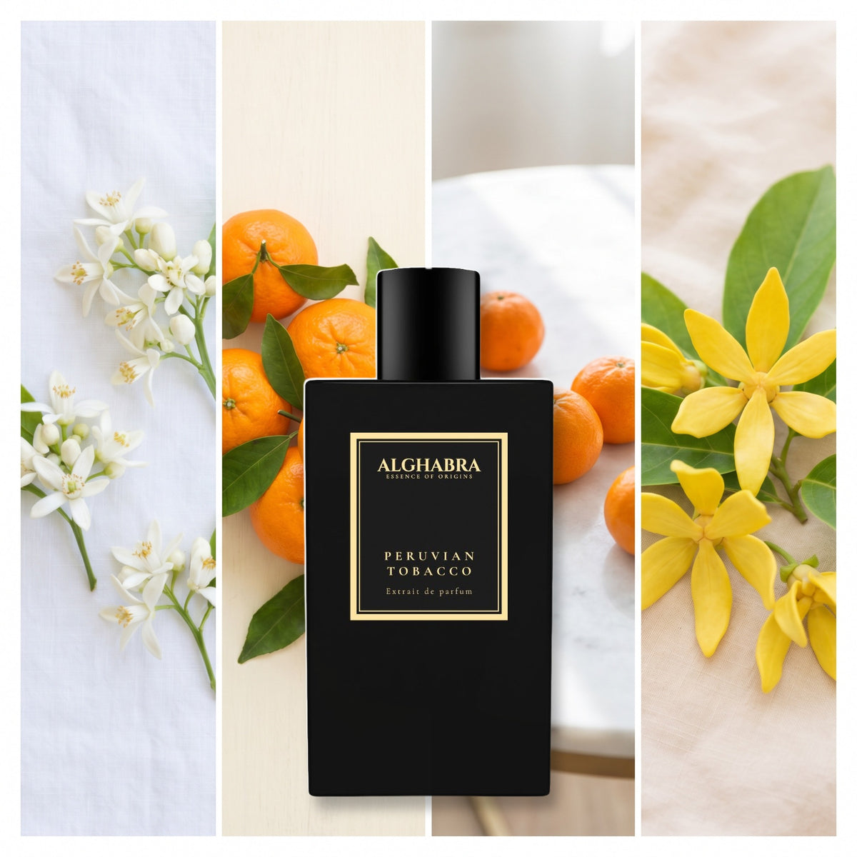 Alghabra Parfums Peruvian Tobacco fragrance notes: Orange Blossom, Mandarin, Clementine, Ylang Ylang