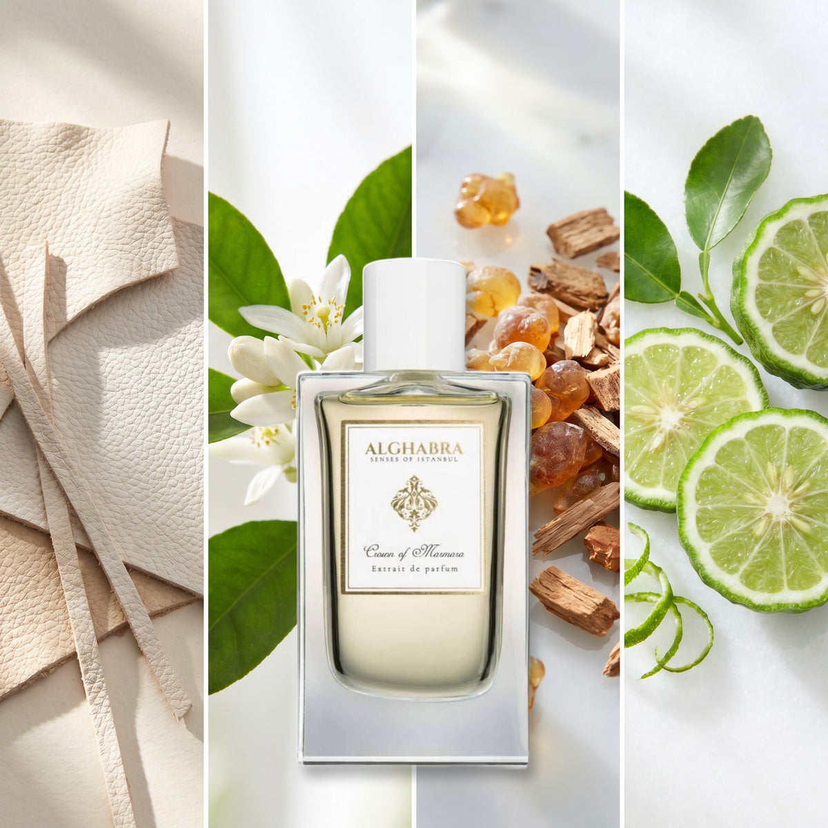 Alghabra Parfums Crown of Marmara fragrance notes: Leather, Neroli, Styrax, Bergamot