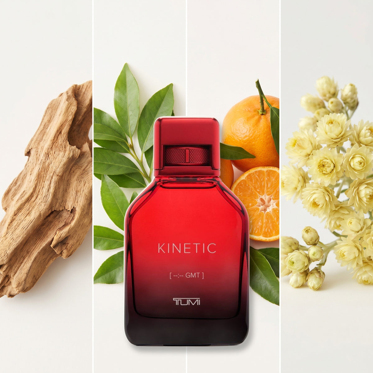Tumi Kinetic fragrance notes: Amberwood, Pimento Leaves, Italian Mandarin., Everlasting Flower