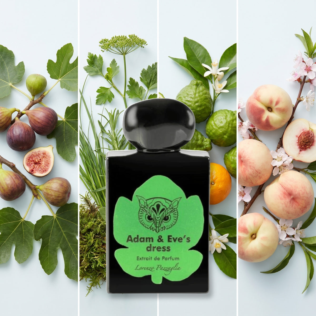 Lorenzo Pazzaglia Adam & Eve's Dress fragrance notes: Fig, Green Notes, Bergamot, White Peach