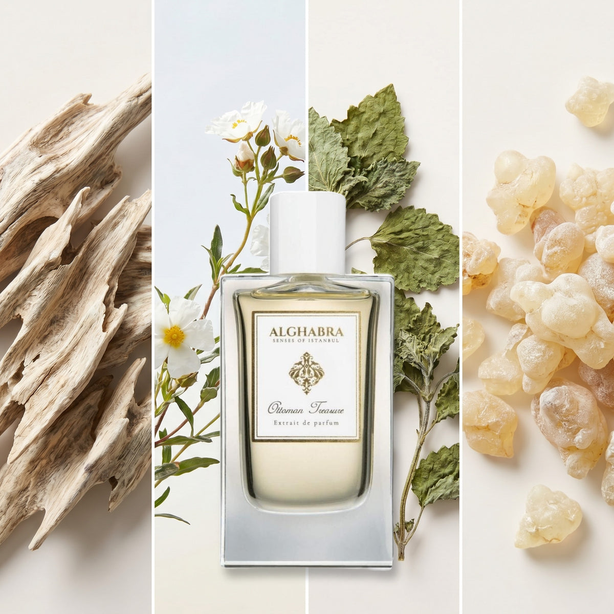 Alghabra Parfums Ottoman Treasure fragrance notes: White Oud, Cistus, Patchouli, Olibanum