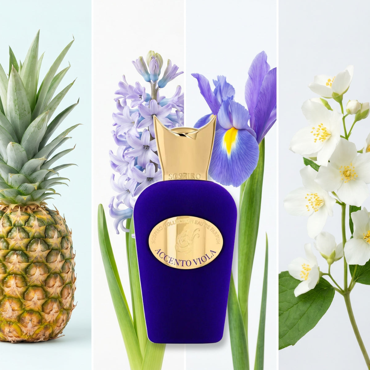 Sospiro Accento Viola fragrance notes: Pineapple, Hyacinth, Iris, Jasmine