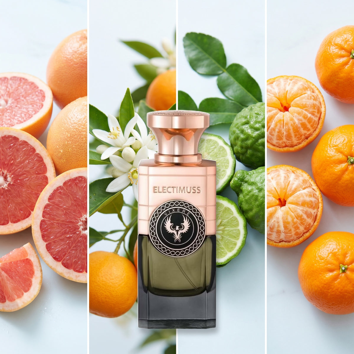 Electimuss Vixere fragrance notes: Grapefruit, Neroli, Bergamot, Mandarin Orange