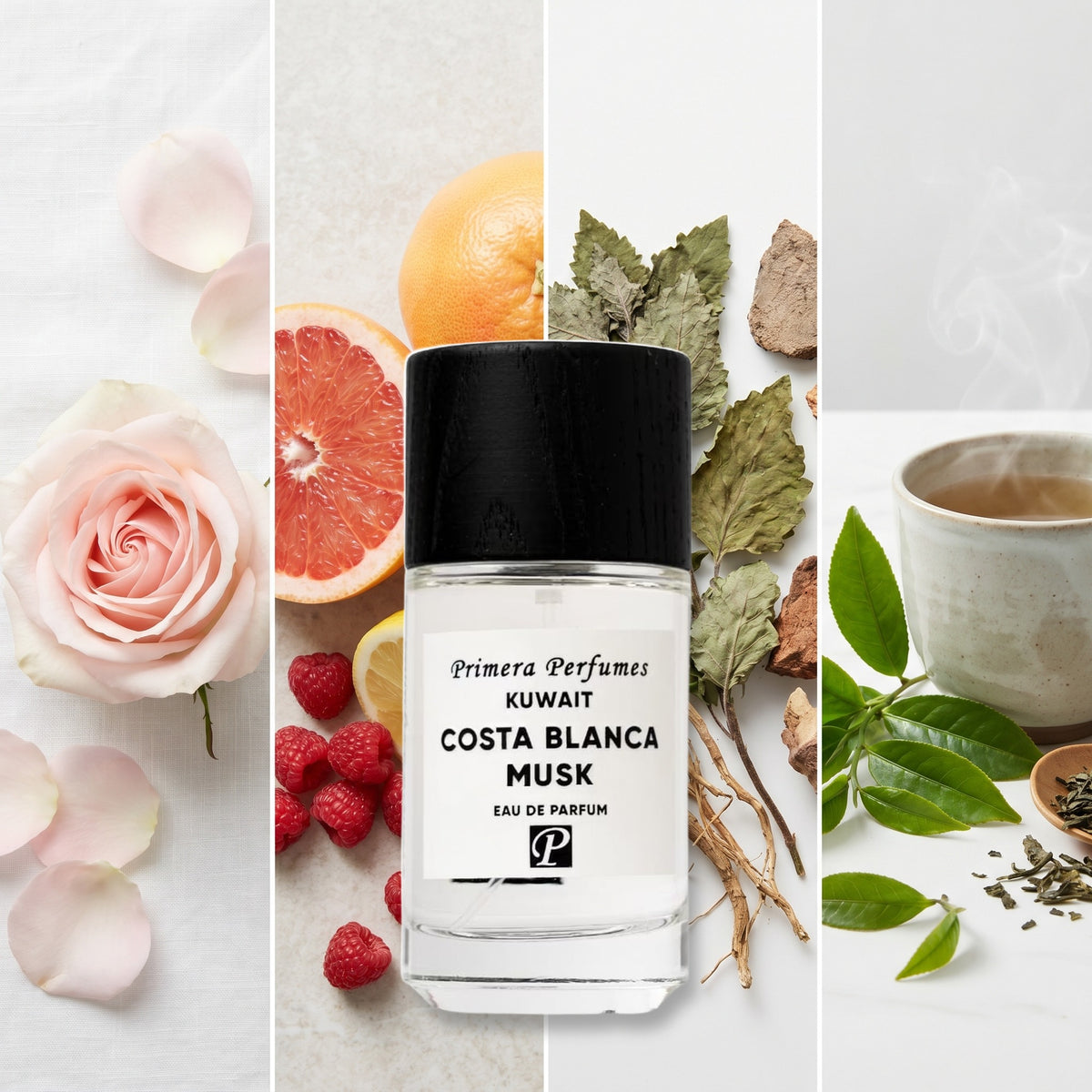 Primera Perfumes Kuwait Costa Blanca Musk fragrance notes: Rose, Fruits, Patchouli, Tea