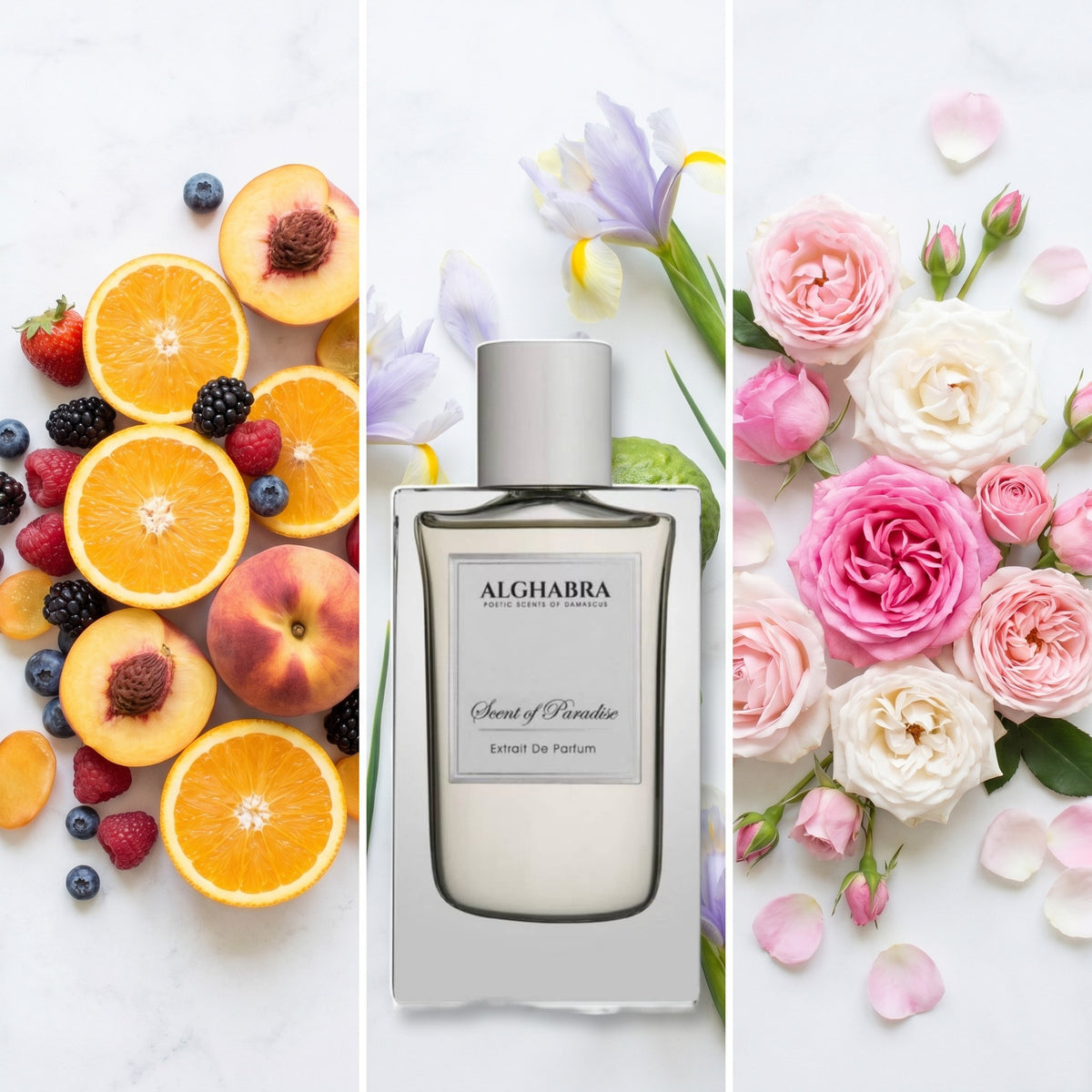 Alghabra Parfums Scent of Paradise fragrance notes: Fruity Notes, Bergamot, Iris and0 Rose