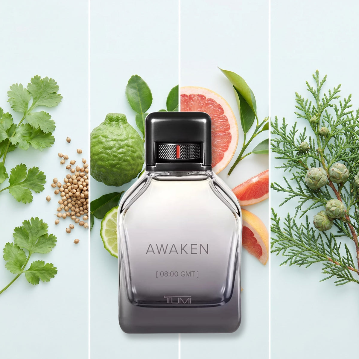 Tumi Awaken fragrance notes: Coriander, Bergamot, Grapefruit., Cypress