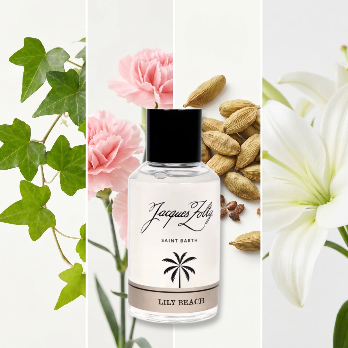 Jacques Zolty Lily Beach fragrance notes: IVY LEAVES, CARNATION, CARDAMOM, LILY